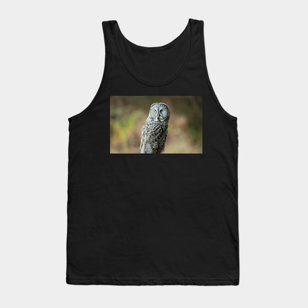 Great Grey Owl Portrait Tank Top by JeffreySchwartz